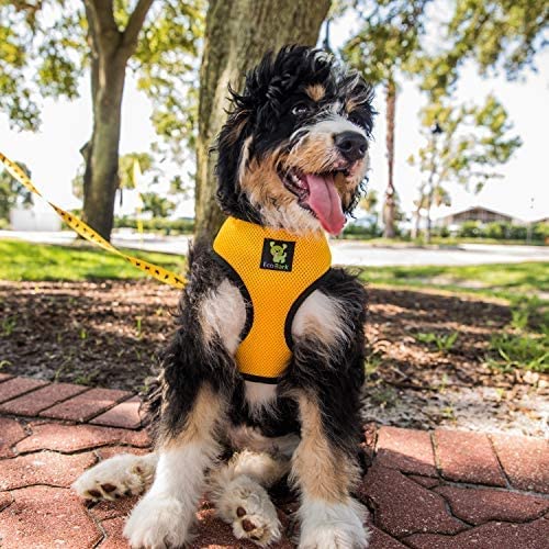 Ecobark Dog Harness - Eco-Friendly Max Comfort Harnesses - Luxurious Soft Mesh Halter - Over The Head Harness Vest- No Pull And No Choke For Puppy, Small Breeds & Medium Dogs (Large, Yellow)