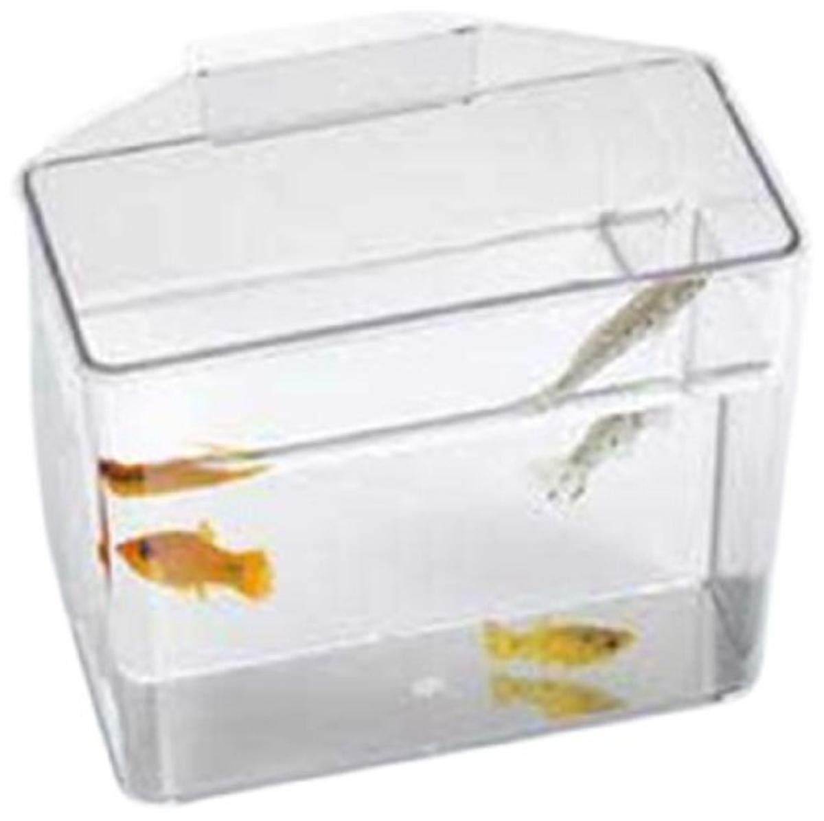 Specimen Container/Convalescent Home - Heavy Duty - Small