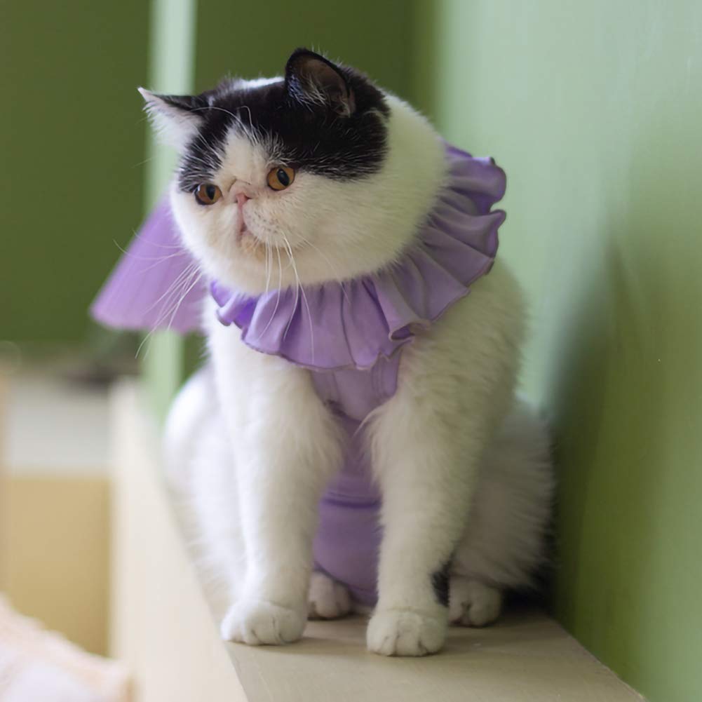 Cat Recovery Suit For Abdominal Wounds And Skin Diseases,Breathable Surgical Recovery Shirt After Surgery Wear Anti Licking Wounds,E-Collar Alternative For Female Cats Kitten(Rsc01-Purple-S)