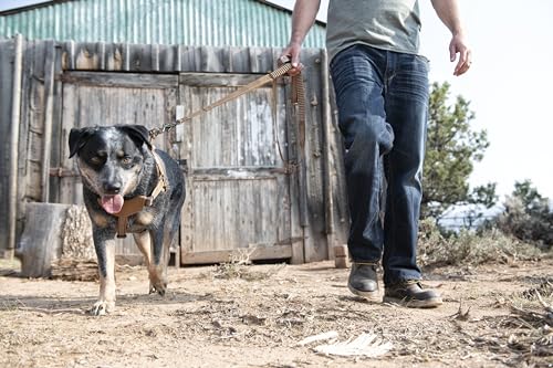 Carhartt Nylon Duck Training Dog Harness, Carhartt Brown, X-Large