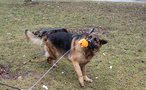 Jalousie Collapsible Dog Flirt Pole With Three Squeaky Toys Plush Toys Dog Teaser Wand Chase It Dog Toy With Refills (Dog Flirt