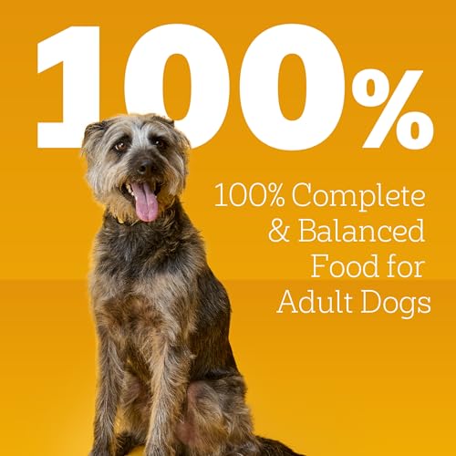 Pedigree Chopped Ground Dinner Adult Wet Dog Food Beef Bacon & Cheese Flavor, 22 oz. Cans (12 Count, Pack of 1)