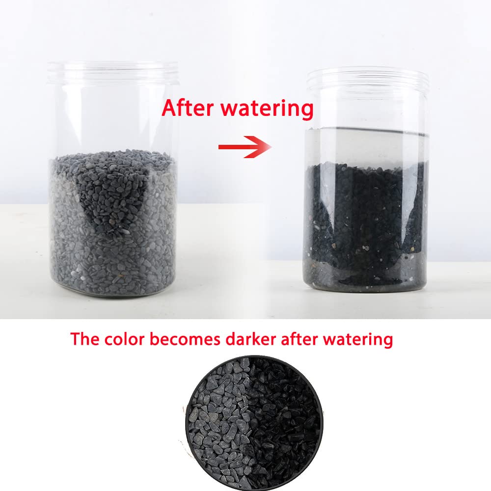 Avalution3 6-9 Mm Natural Black Gravel 3Lb, Polished Stone Succulent Plant Bonsai Stone Diy Plant Rock For Garden Outdoor & Indo