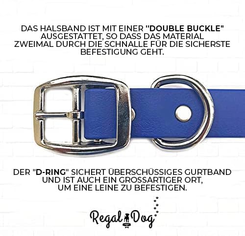 Regal Dog Products Medium Blue Waterproof Dog Collar And Leash Set | Heavy Duty Double Buckle & D Ring - 5'Ft Leash | Adjustable