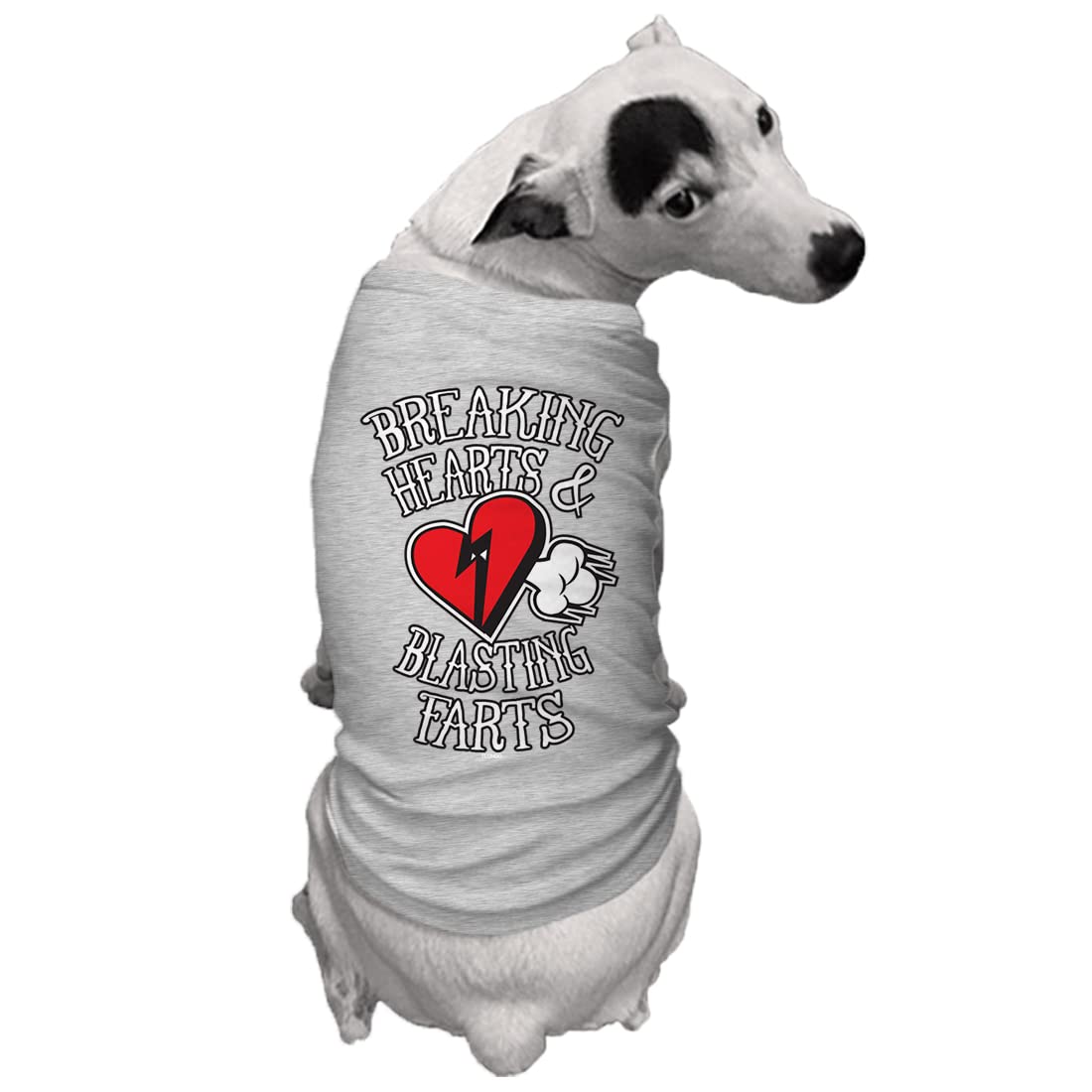 Tcombo Breaking Hearts & Blastings Farts Dog Shirt (Light Gray, X-Small)