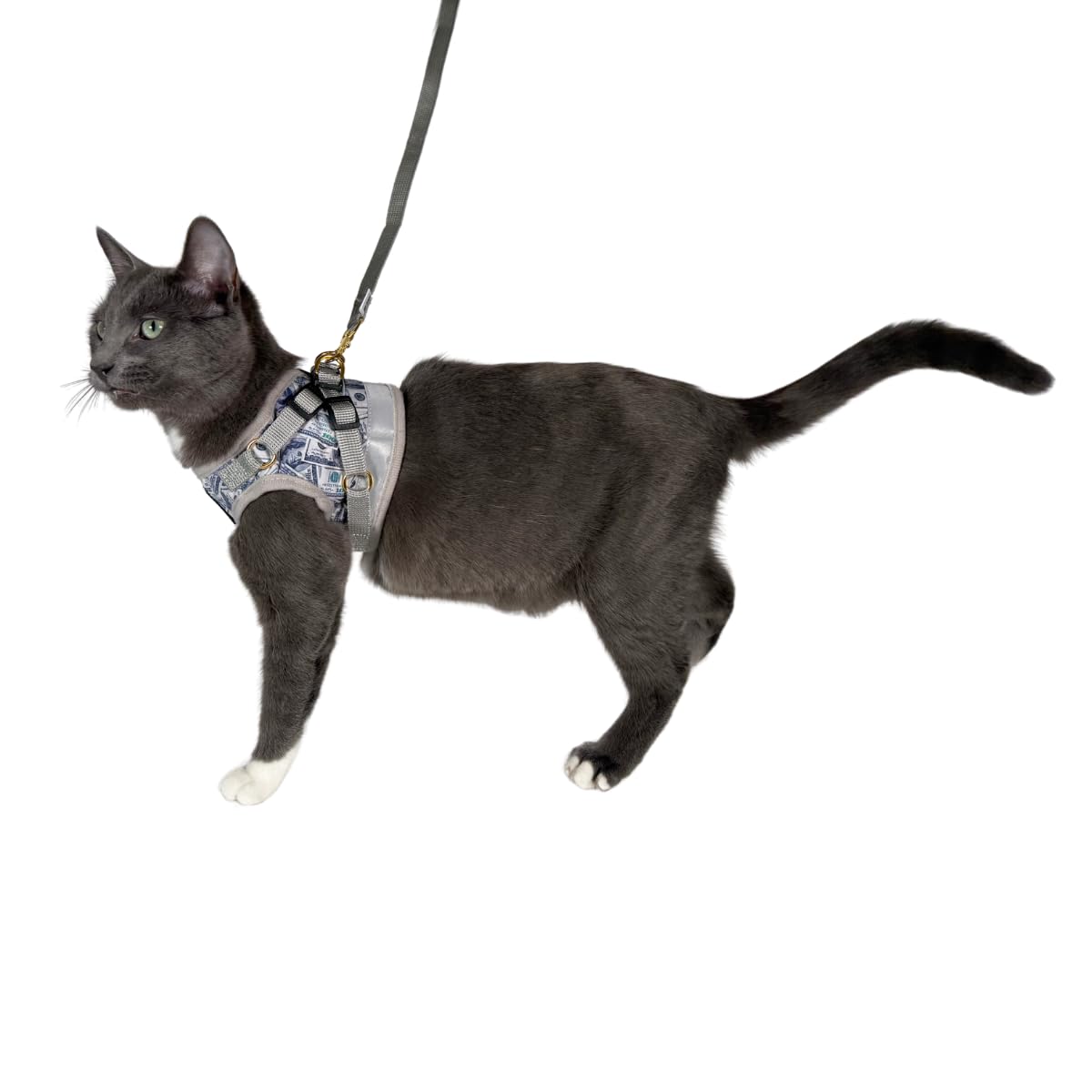 Travel Cat & Stray Cat Harness And Leash Set - Adjustable Fit Mesh Cat Harness And Reflective Strap - Comfort Escape Proof Harness For Cats, Kitten For Outdoor Walking, Hiking (Extra Small, Cashcat)