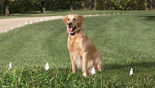 Long Lasting Japanese Powered Battery For All Fence Collars That Use Model Rfa-67 (6 Pack)