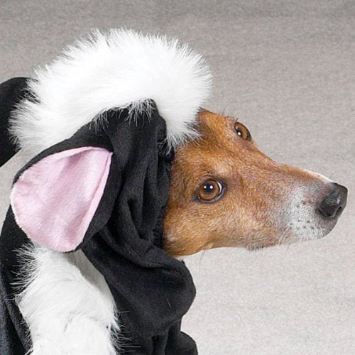 Casual Canine Lil' Stinker Dog Costume, Medium, Black/White, Polyester, Model ZA539, Fits Lengths Up to 16"