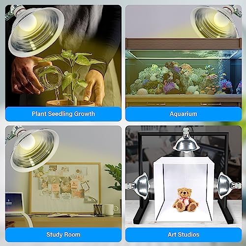 Simple Deluxe 150W Reptile Heat Bulb and 8.5 inch Clamp Light, 40-108? Digital Thermostat Controller and Thermometer Included, f