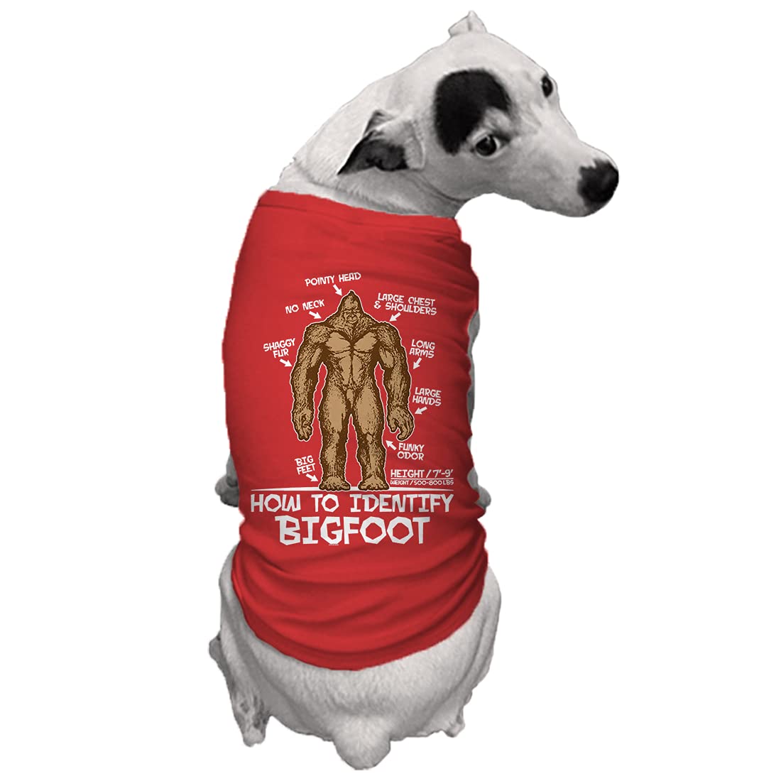 How To Identify Bigfoot - Dog Shirt (Red, 2X-Large)