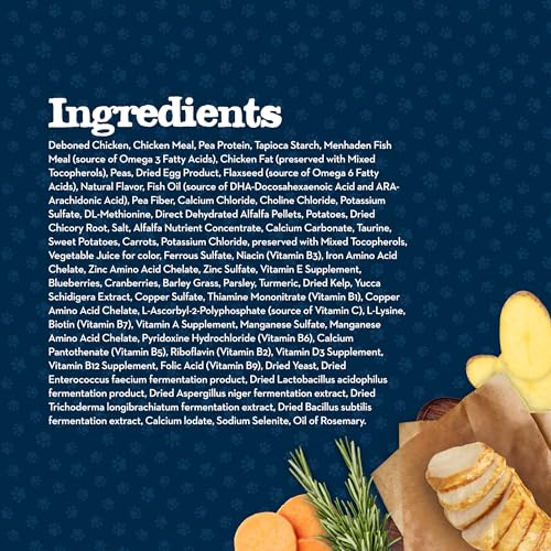 Blue Buffalo Baby BLUE Natural Kitten Grain-Free Dry Cat Food, High-Protein Healthy Growth Formula with DHA, Savory Chicken, 2-l