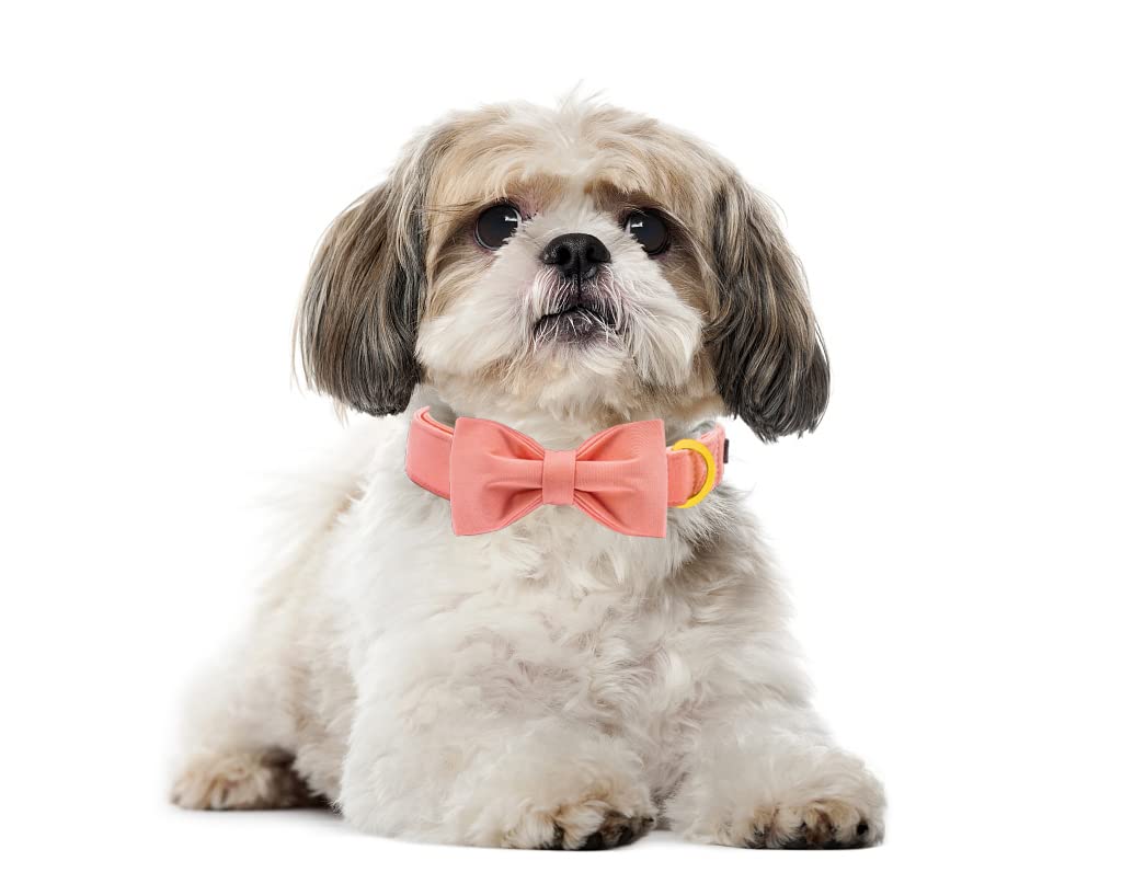 Maca Bates Dog Collar With Bow Bowtie For Dogs Solid Colors Sailor Bow Tie Adjustable Breakaway Pink Collars Accessories Birthda