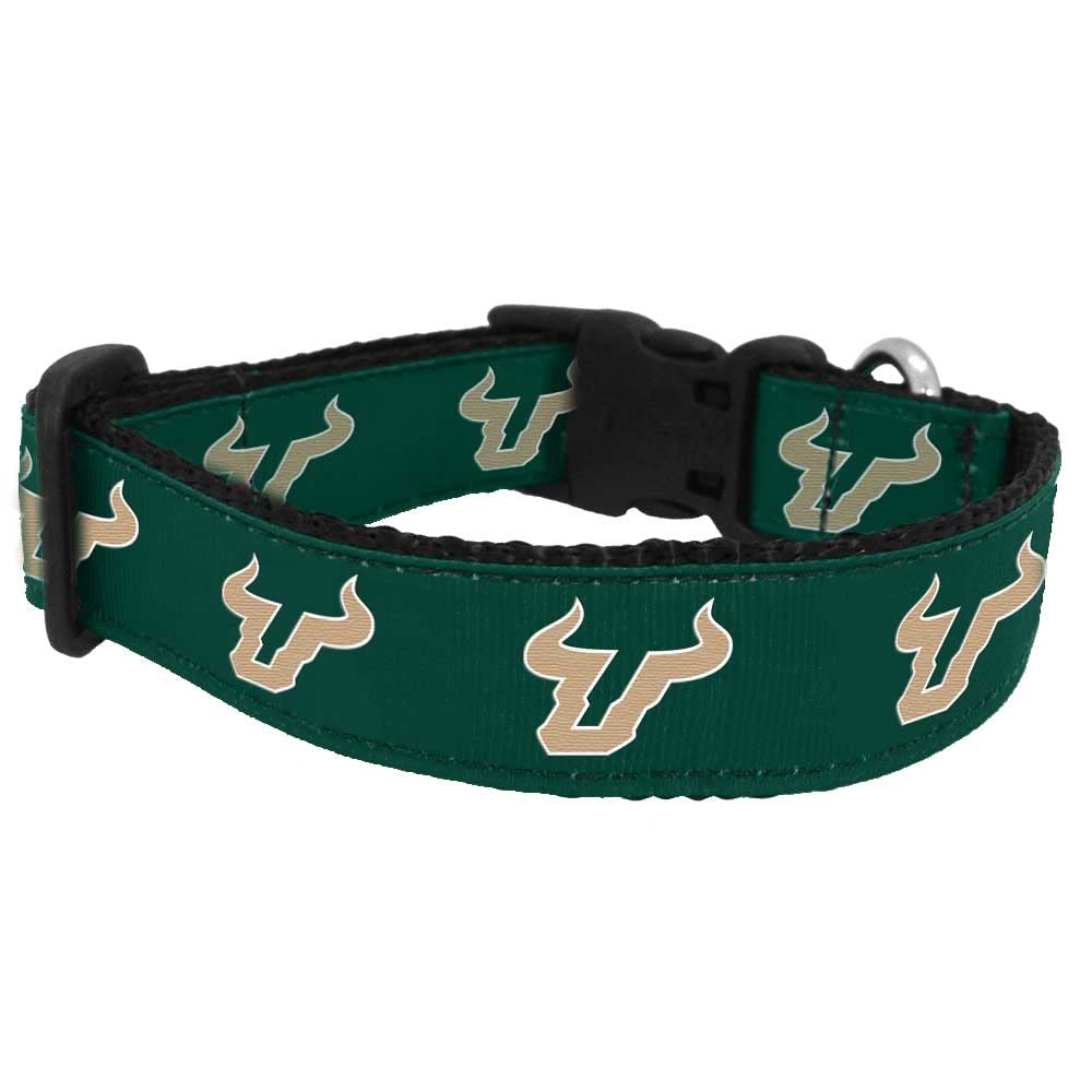 College Dog Collar (Large, South Florida)