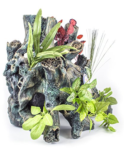 Penn-Plax Extra Large Driftwood With Flowering Plants Decoration For Large Fish Tanks Or Reptile Terrariums - Hideouts And Swim-Throughs For All Your Small Pets - Dgsp1