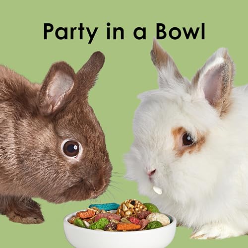Kaytee Fiesta Rabbit Food Flavor Medley 25 Pounds