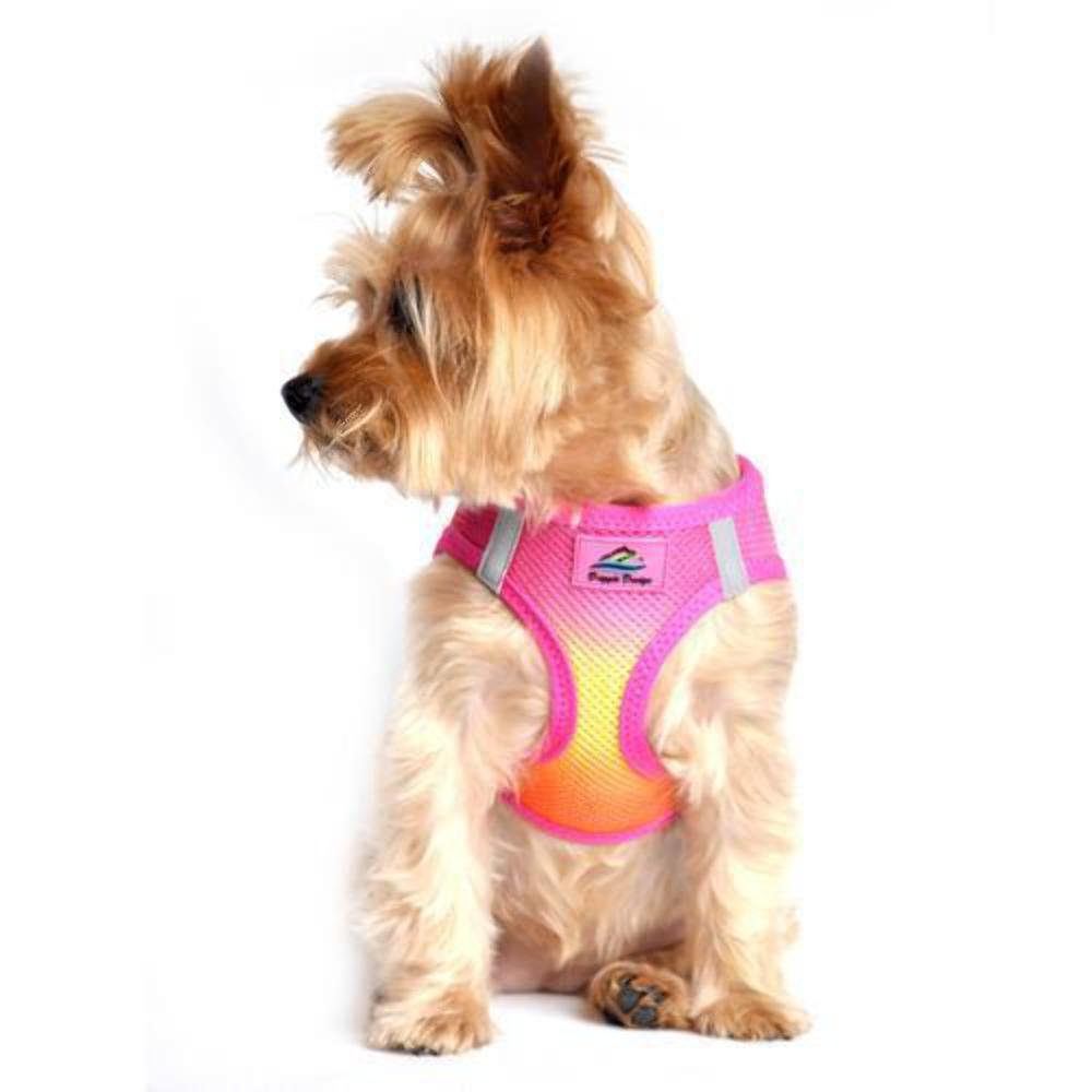 Doggie Design Dog Harness - No Choke Dog Harness, Dog Vest, Mesh Polyester, Pet Harness, Simple Step in and Go Design, Harness for Dog - Raspberry Pink and Orange - XXS