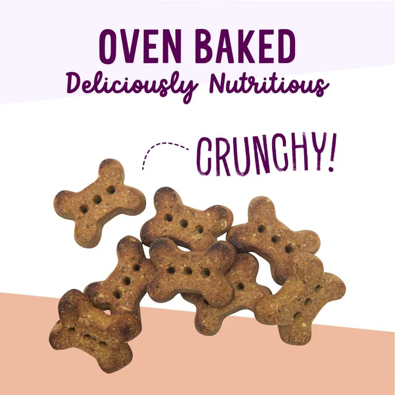 Health Extension Oven Baked Treats - Peanut Butter Recipe with Banana 6oz
