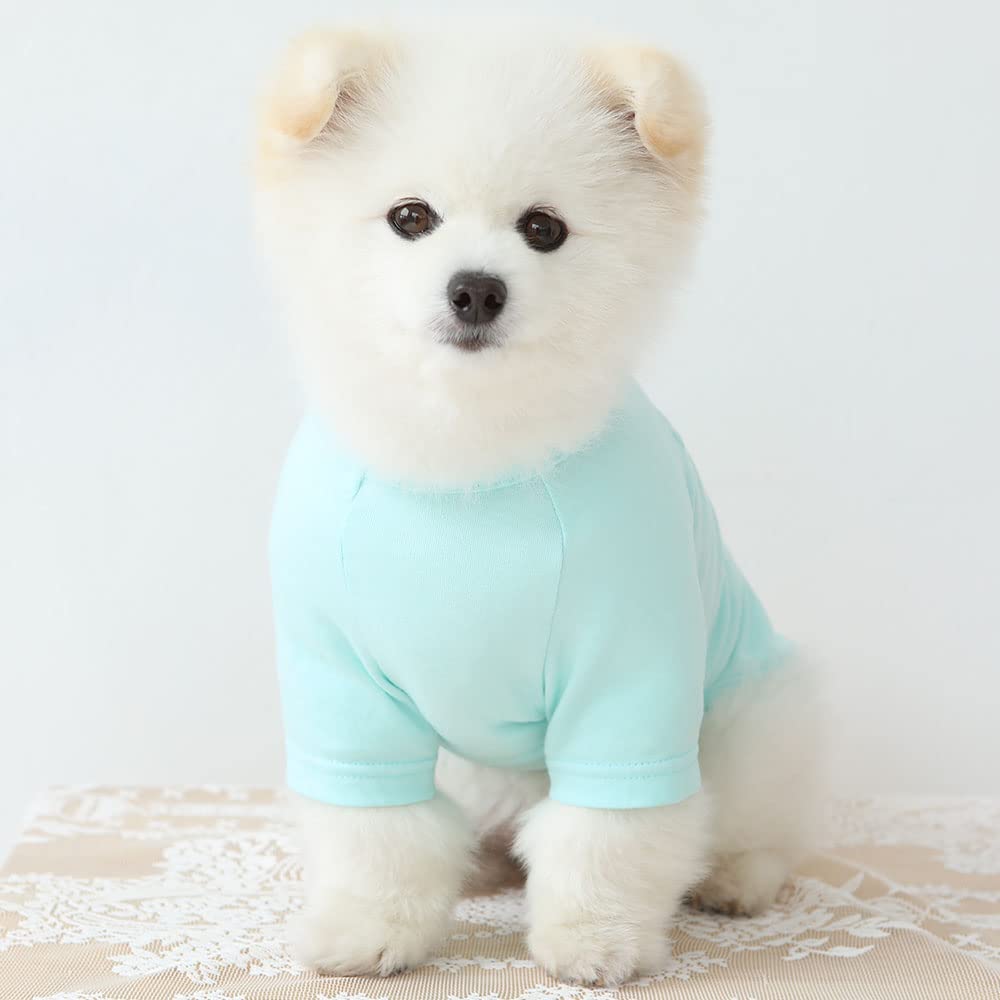 Lucky Petter Dog Shirt For Small Dogs Plain T-Shirts Soft Breathable Dog Cotton Shirt Pet Clothes (Large, Mint)