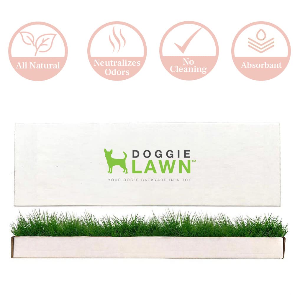 Doggielawn Real Grass Puppy Pee Pads- 24 X 9 Inches - Perfect Indoor Litter Box For Dogs - No Mess, Easy-To-Use - Potty Training For Pets - Eco-Friendly Disposable Bathroom With Real Living Grass