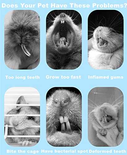 Dbeans Flourithing 150G 3 Types Of Combined Chew Toys Molar Sticks Sweet Bamboo Apple Branch Timothy Grass For Pets Chinchilla Squirrel Gerbil Hamster Squirrel Guinea Pigs