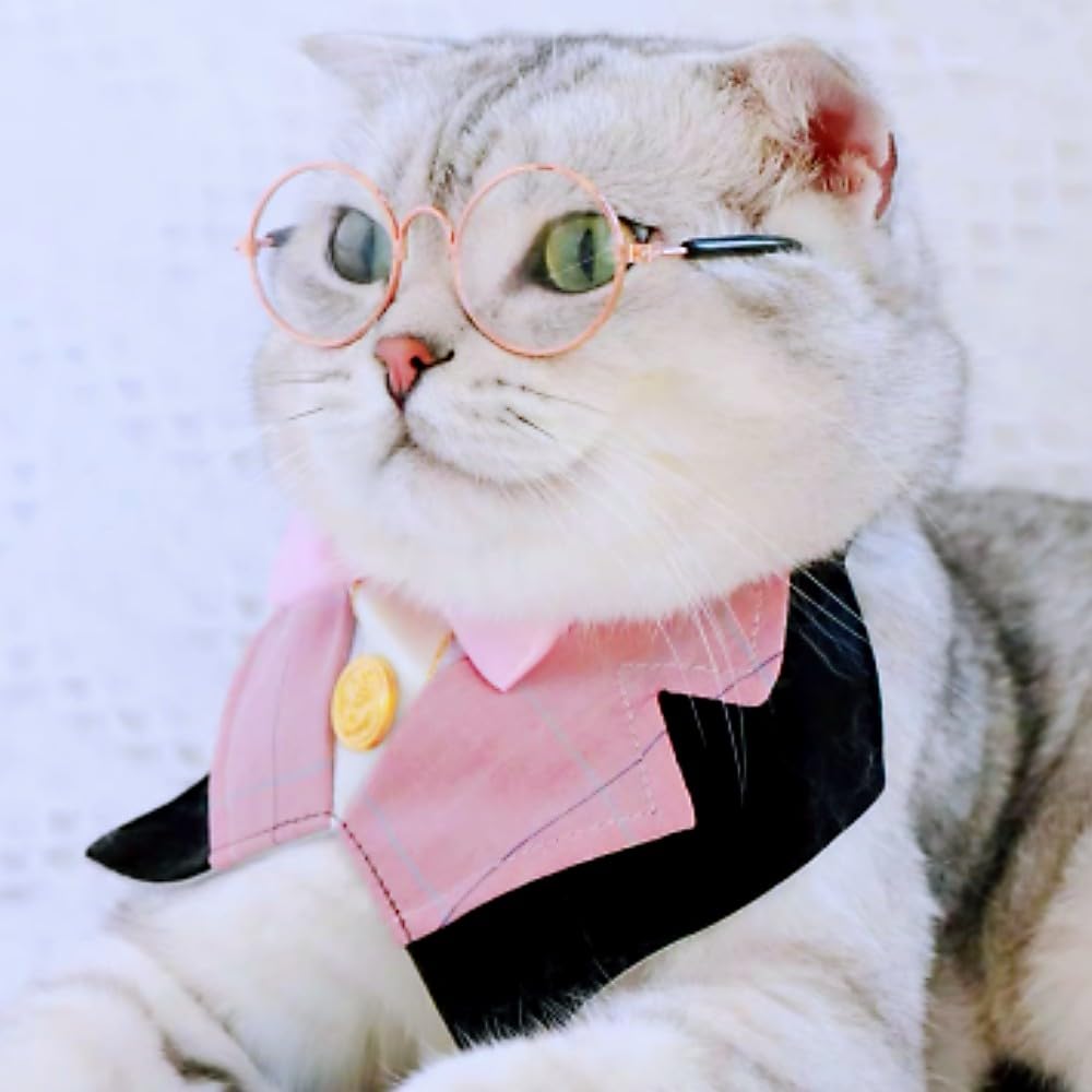 Gallarato Dog & Cat Formal Wedding Bandana Collar With Bow Tie & Sunglasses (Pink)