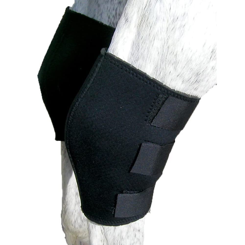 Intrepid International Breathable Neoprene Hock Boots for Horses - Superior Support and Comfort for Equine Athletes - One Size F