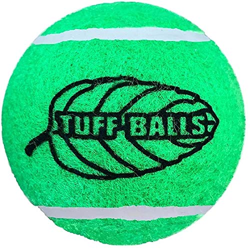 Petsport Jr. Mint Balls 2 Pack