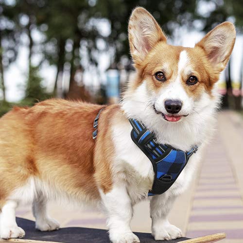 rabbitgoo Dog Harness No-Pull, Comfortable Padded Plaid Harness with Handle Easy Control, Adjustable Reflective Pet Vest with 2