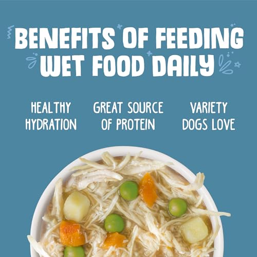 Weruva Classic Dog Food, Grandmas Chicken Soup with Chicken Breast & Veggies, 5.5oz Can (Pack of 24)