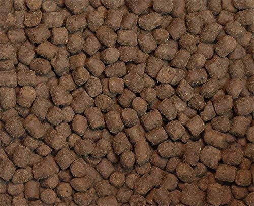 Ketogenic Pet Foods - Keto-Kibble - High Protein, Low Carb, Starch Free, Grain Free Dog & Cat Food - 8 lb
