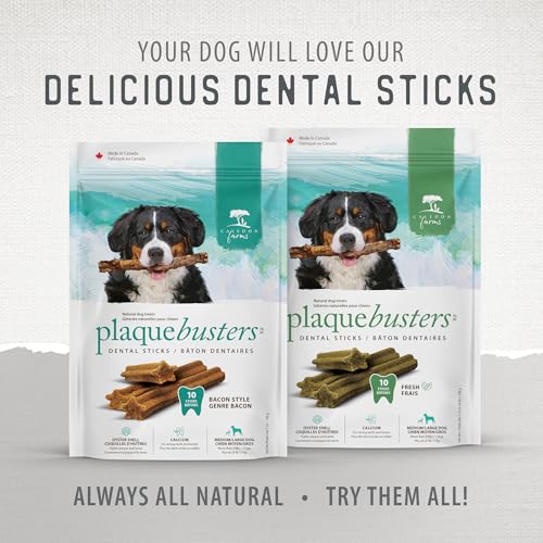 Caledon Farms Plaque Busters with Bacon Dog Treats: Grain Free, Gluten Free, No Additives, Colors or Preservatives, Brown 8 Coun