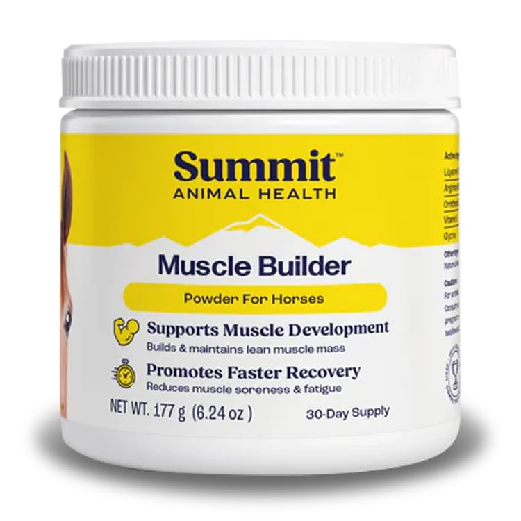 Muscle Builder Powder for Horses - Monk Fruit Flavored Horse Supplement w/Amino Acids, Vitamin E & More - Post Exercise, Trainin