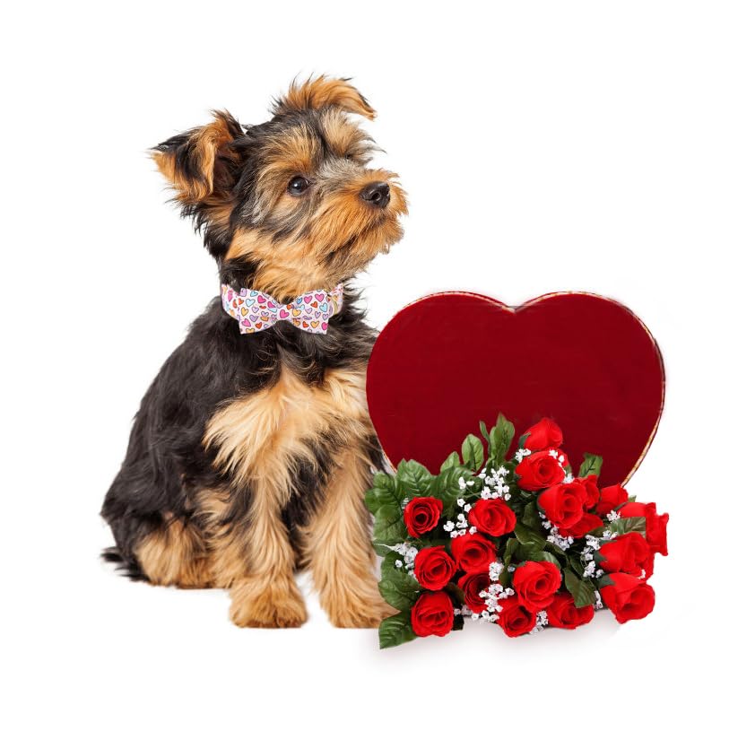 Lionet Paws Valentine'S White Dog Collar, Cute Heart Dog Collar For Large Dogs, Adjustable Cotton Pet Collars For Large Dogs