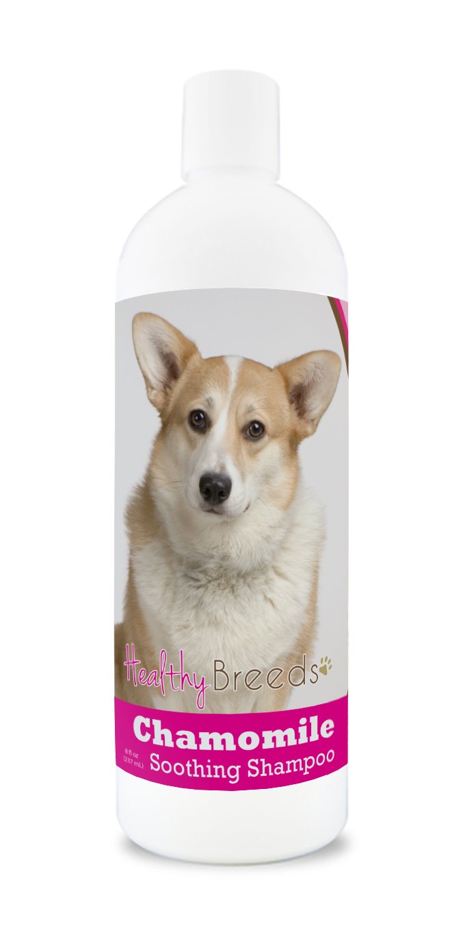 Healthy Breeds Cardigan Welsh Corgi Chamomile Soothing Dog Shampoo 8 oz