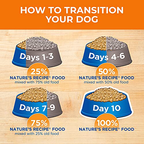 Natures Recipe Mature Lamb & Brown Rice Recipe Dry Dog Food, 24 lb. Bag