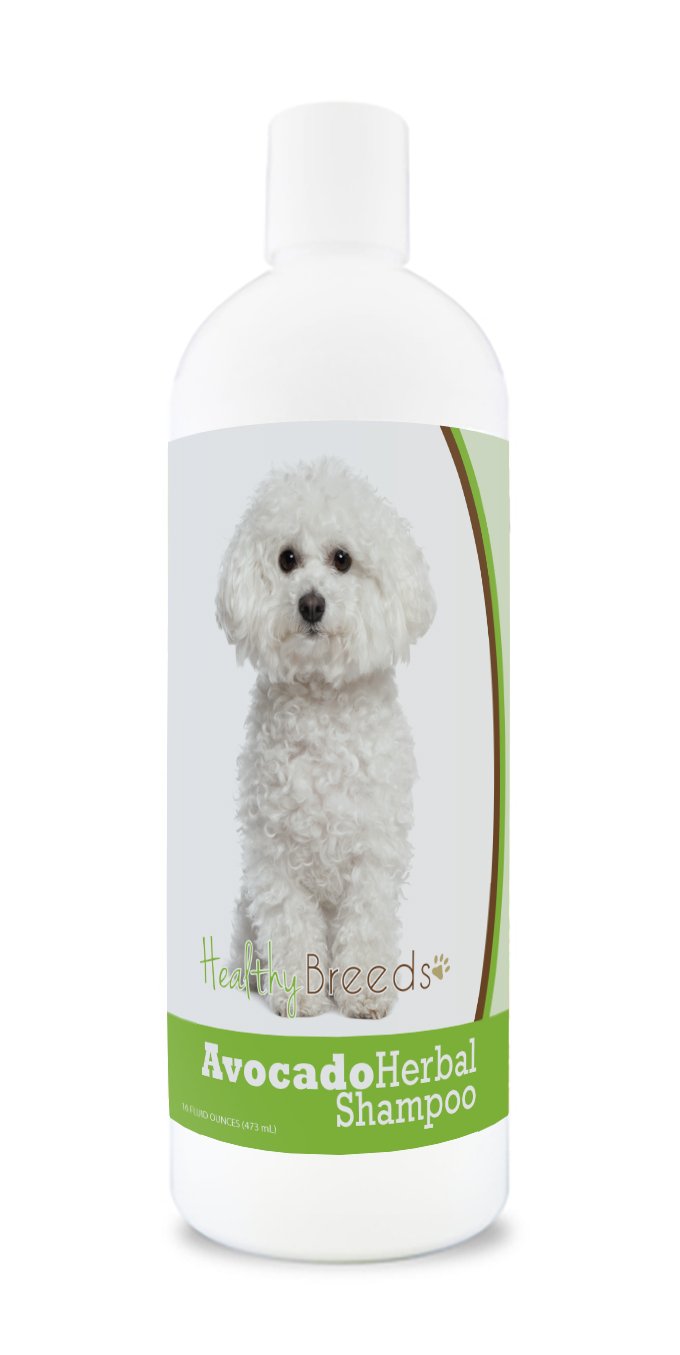Healthy Breeds Bichon Frise Avocado Herbal Dog Shampoo 16 Oz