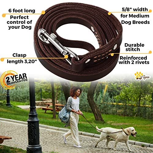 Adityna - Premium Leather Dog Leash - 6 Ft, Heavy-Duty, Soft & Strong For Small/Medium Dogs (Medium: 6 Ft X 5/8', Brown)