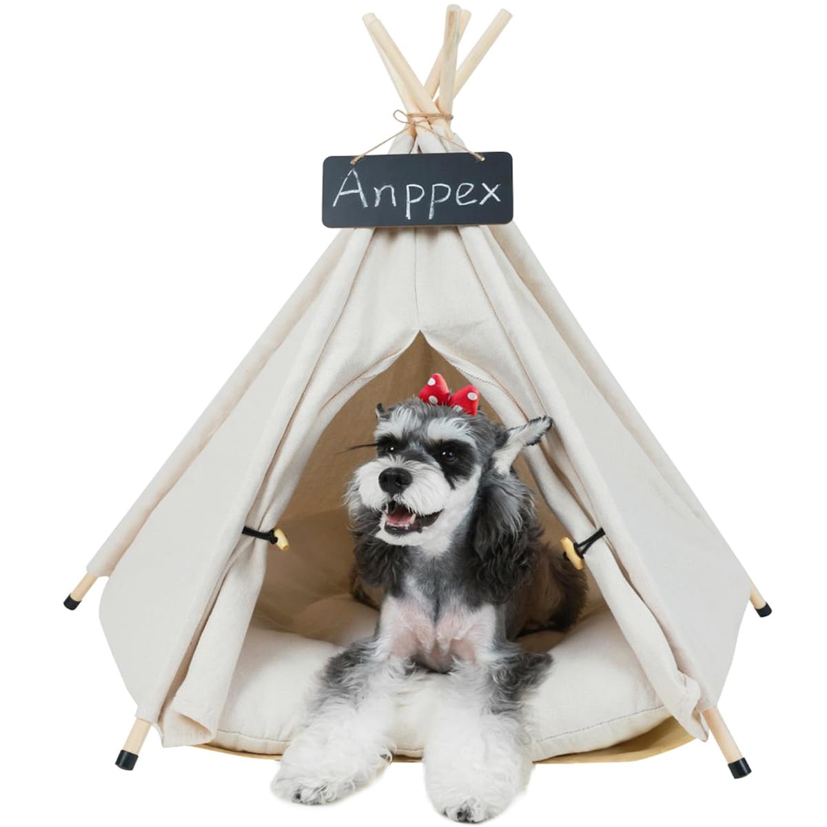Anppex 24-Inch Dog Teepee Tent Indoor,M Size Pet Tent Bed For Small Dogs And Cats,Indoor Dog House With Thick Cushion,White