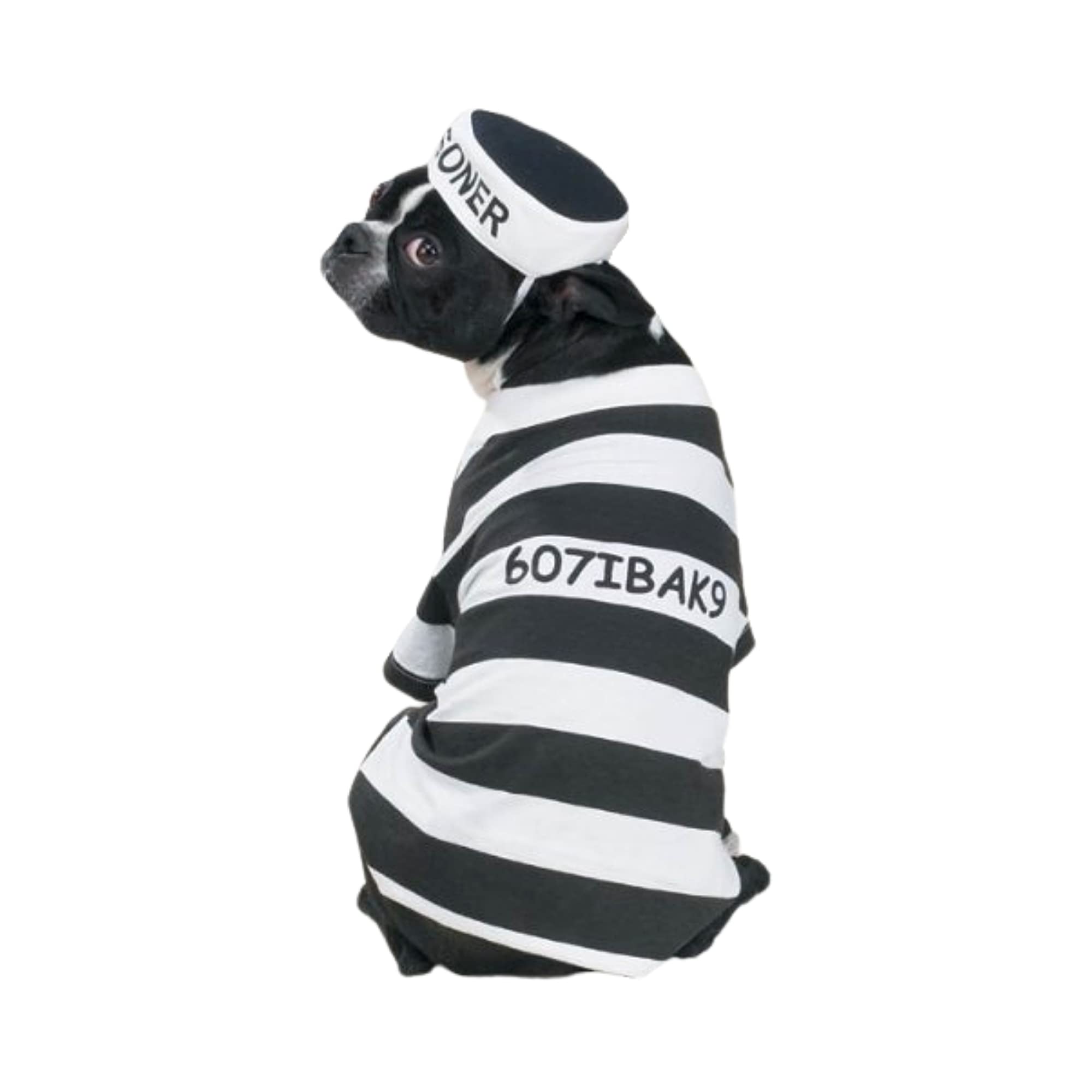 Casual Canine Prison Pooch Costume, XX-Large