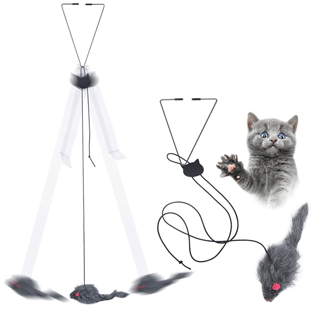 Zibuyu Hanging Interactive Cat Teaser Toys With Elastic Rope Design