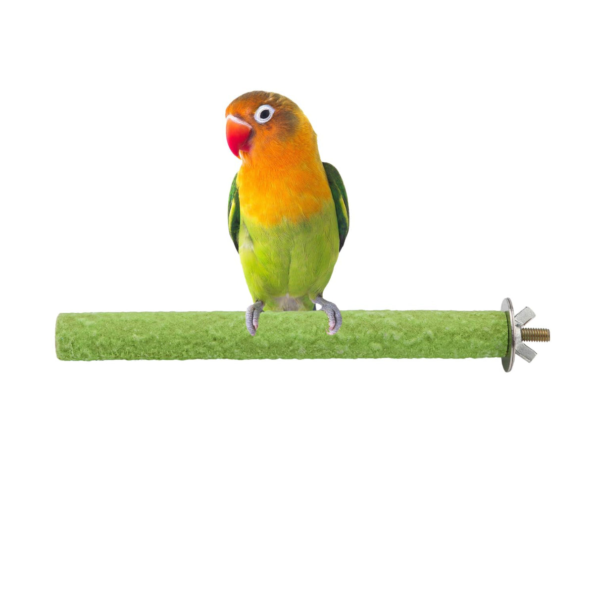 Hypeety Bird Cage Perch Stand Wooden Paw Grinding Toy Chew Toys For Bird Parrot Macaw African Greys Budgies Parakeet Cockatiels 