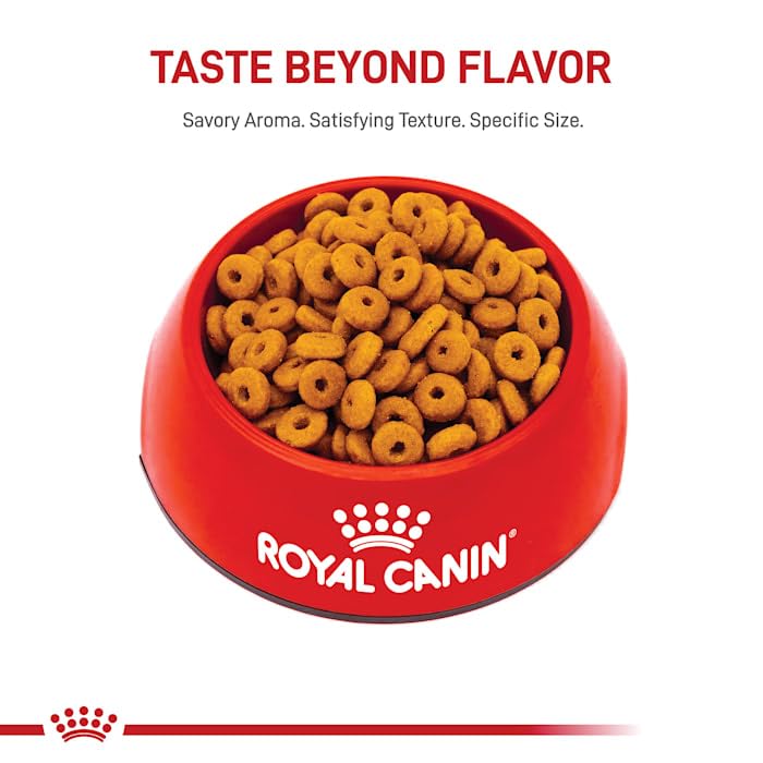 Royal Canin Digestive Care Dry Cat Food, 6 lb bag