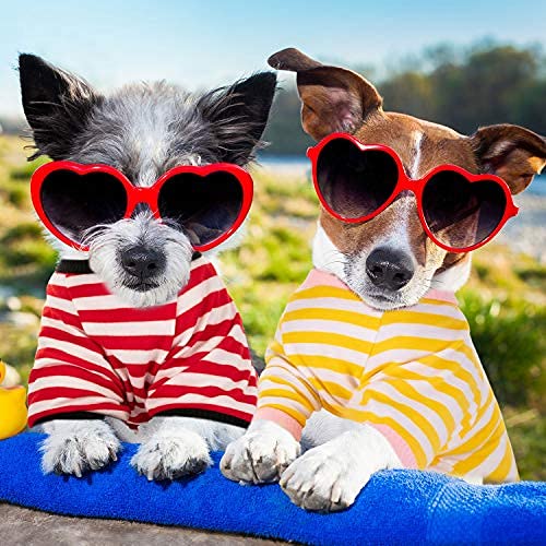 6 Pieces Dog Striped T-Shirt Dog Shirt Breathable Pet Apparel Colorful Puppy Sweatshirt Dog Clothes For Small To Medium Dogs Puppy (M)