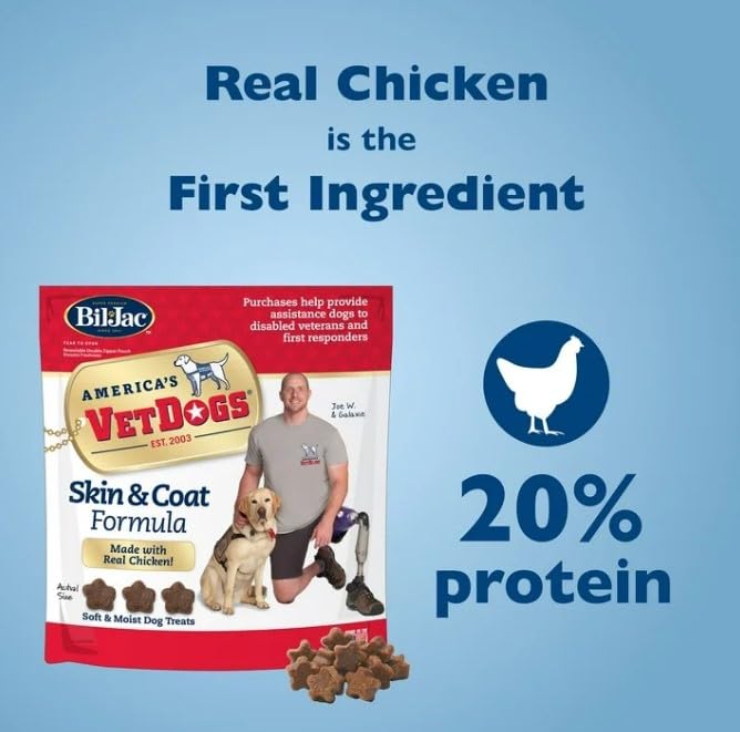 American VetDogs Veterans K-9 Corps Skin & Coat Formula, Soft & Moist Dog Treats, Chicken, 10 oz 1 Pack