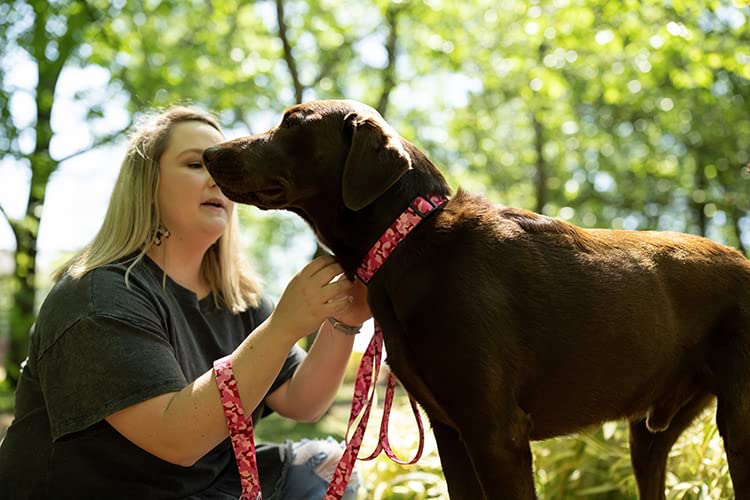 Country Brook Petz - Pink Bone Camo Deluxe Dog Collar - Made In The U.S.A. - Camouflage Collection Featuring Rugged Designs (1/2