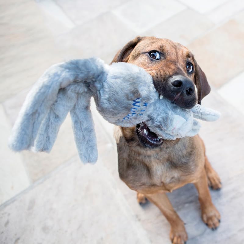 Kong Wubba Friend Dog Toy - Interactive Squeaky Plush With Tugging Tails For Fetch, Chew, And Play - Assorted Character - Fox, Bunny Or Bear (Extra Large)