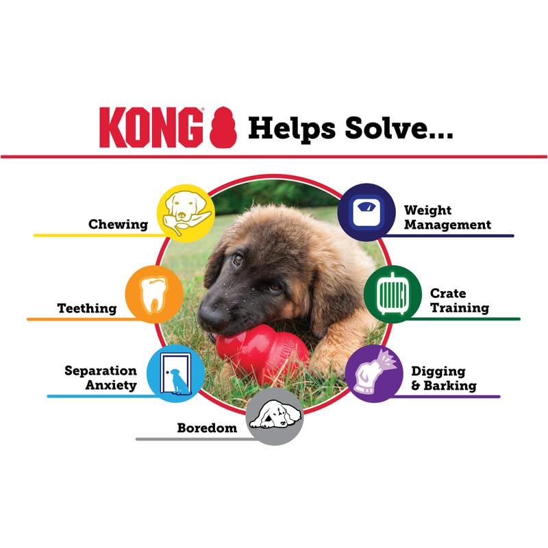 KONG Classic Dog Toy, Large Snacks Peanut Butter Snacks Large Dog Treats 11 Ounces, Combo Bundle