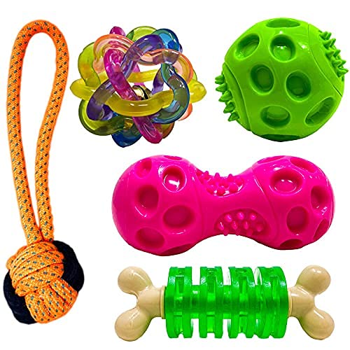 RvPaws Dog Chew Toys for Puppies & Small Breed Dogs (Includes Squeaky Ball, Intractive Ring, Squkey Dumbbell, Intractive Dumbell