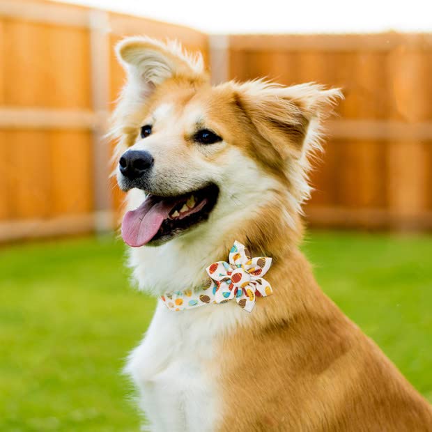 Hilkycton Dog Collar And Leash Set With Flower Bow Tie Girls Dog Collar Metal Buckle Adjustable For Small Medium Large Dogs Rugb