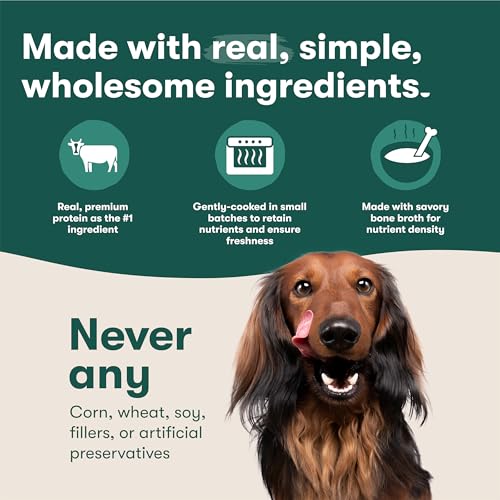 Jinx Chicken Dog Wet Food, Meal or Mix in Dog Toppers for Dry Food, Made with Real Chicken, Bone Broth & Brown Rice, No Fillers,